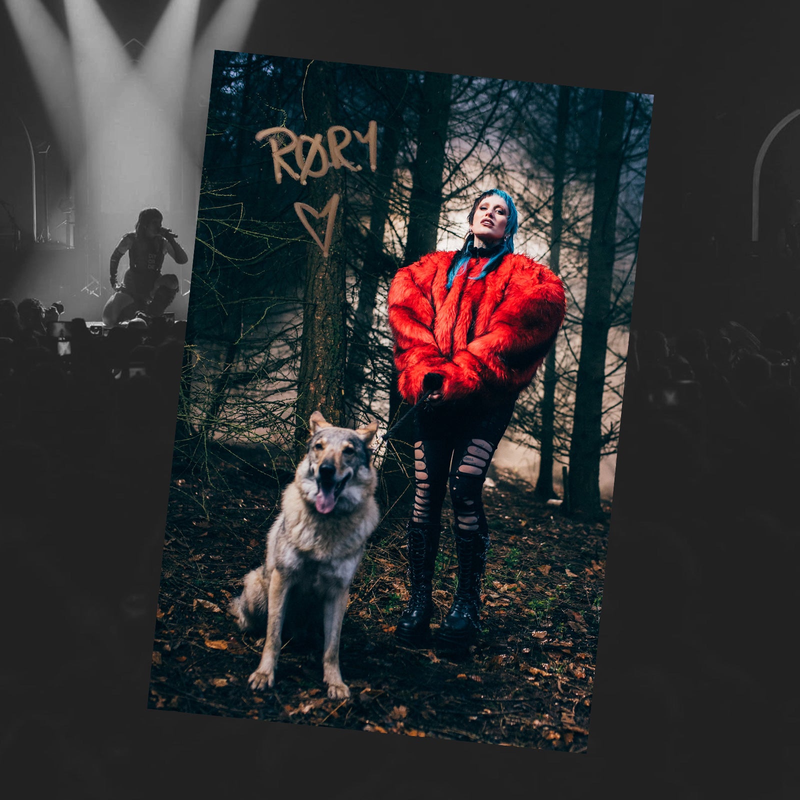Css Rory OFFICIAL RØRY MERCHANDISE